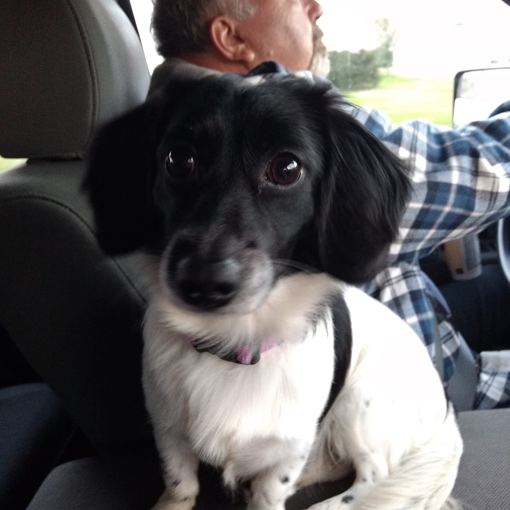 Meet your Posher, Cathy